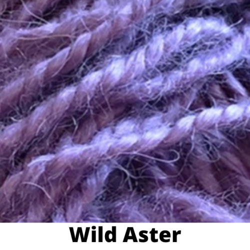 wild-aster